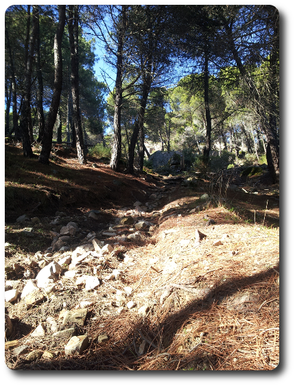 XI Cross Alpino Cebrereño (2013)